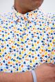 K-Fest Button Down